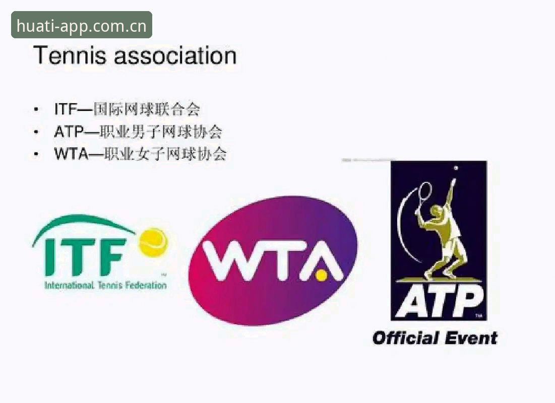 suishou sport app login 每次都要重新下载吗？实测46.1MB的真相